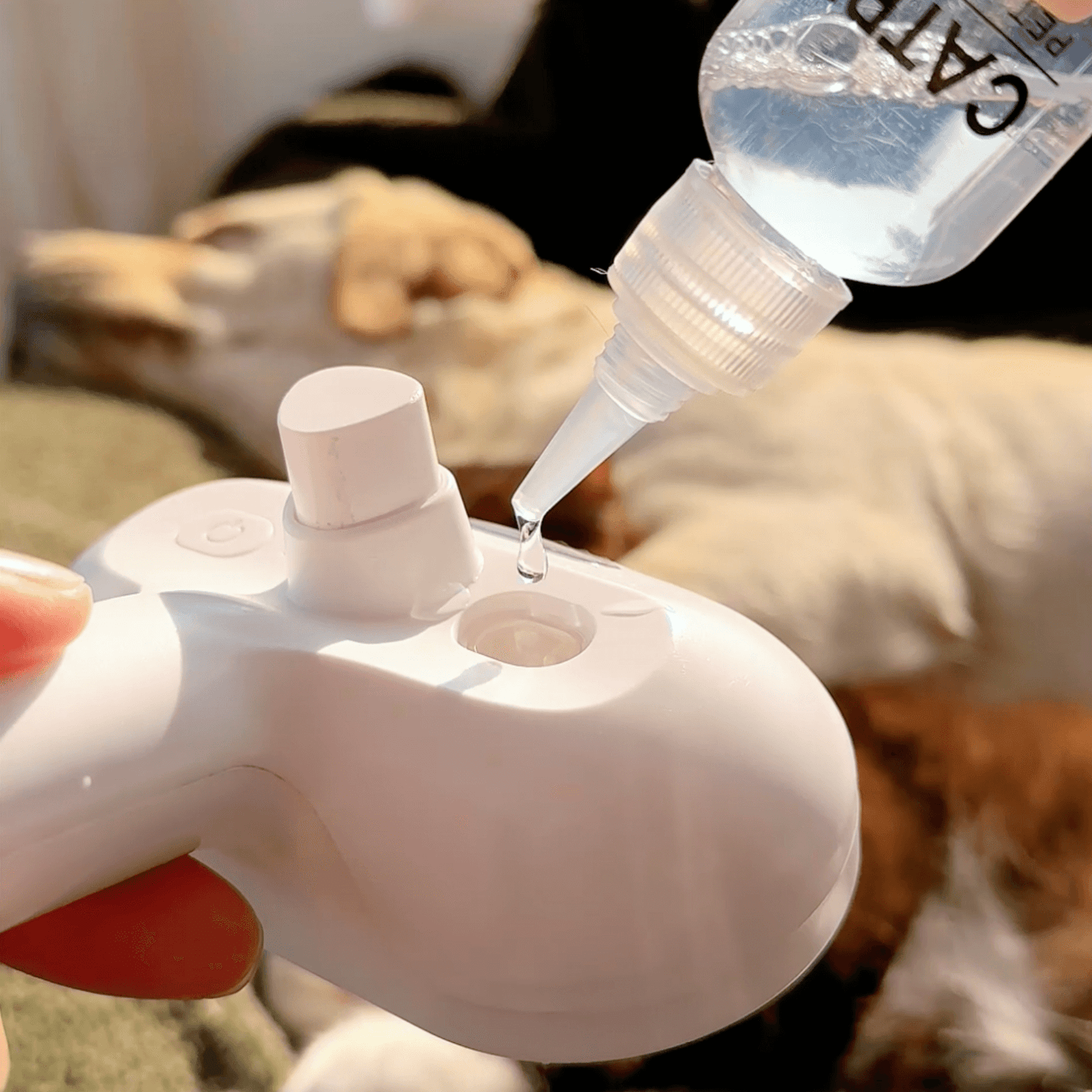 Vapora™ – Ångborsten för Glansig & Tovfri Päls